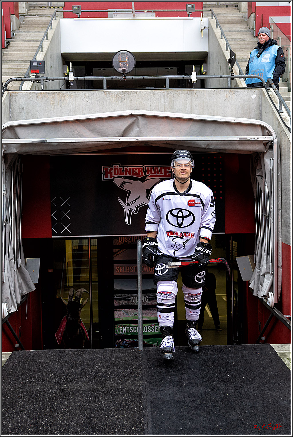 PENNY DEL WINTERGAME;  Kölner Haie Training; Köln, 02.12.2022